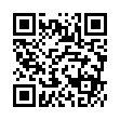 qBittorrent v5.1.1.10增强便携版-趣奇资源网-第11张图片