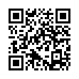安卓布丁扫描v3.5.2.2纯净版-趣奇资源网-第11张图片